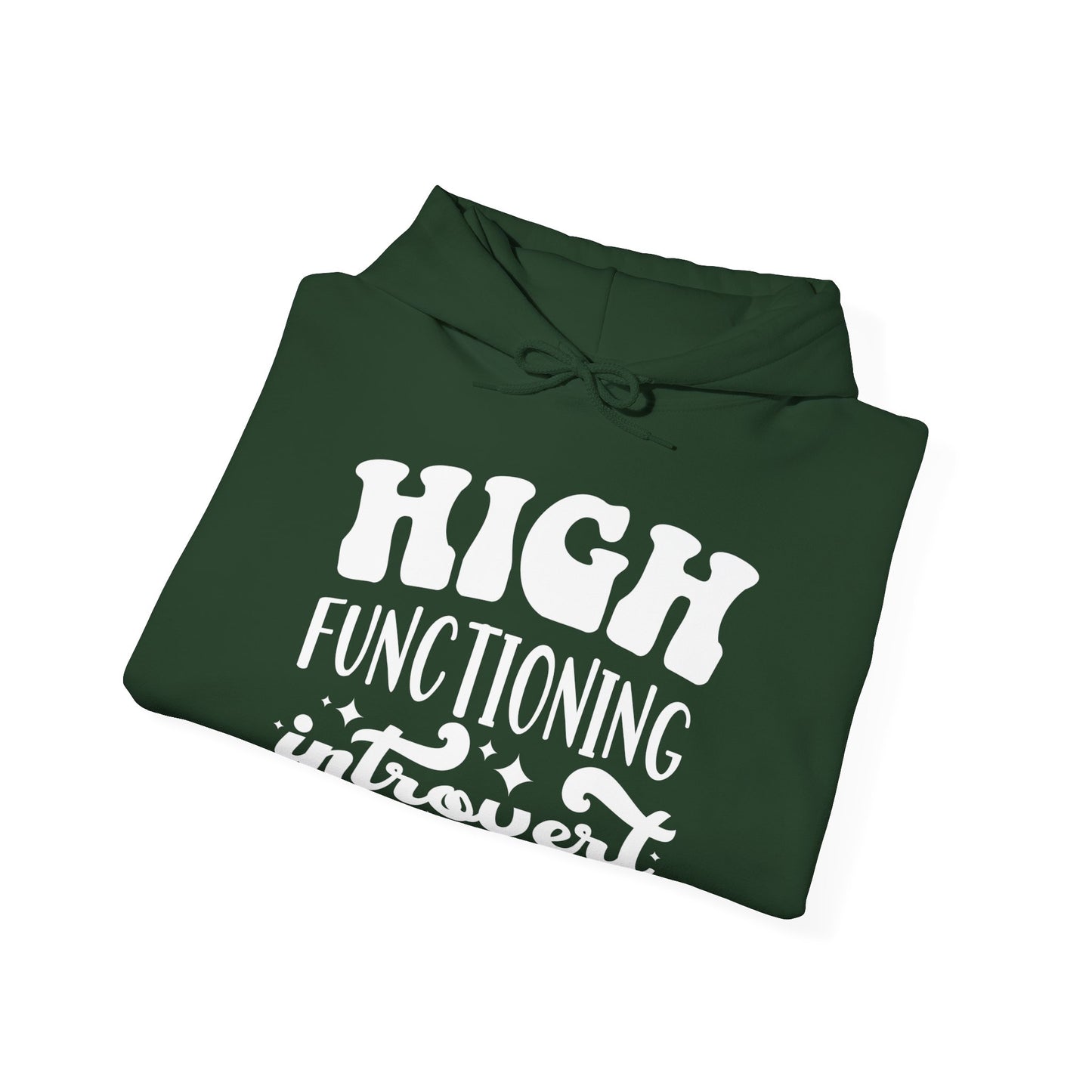 High Functioning Introvert