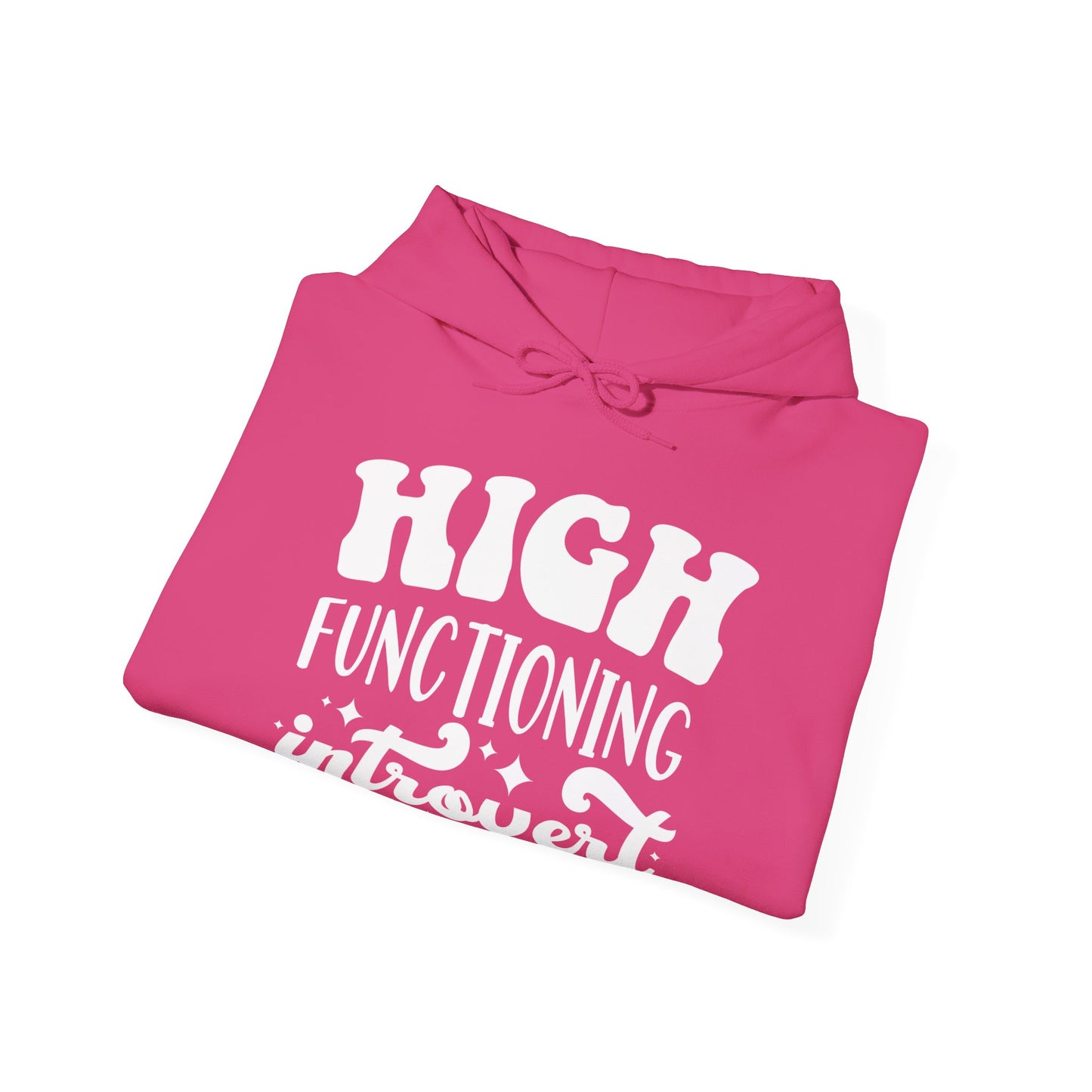 High Functioning Introvert