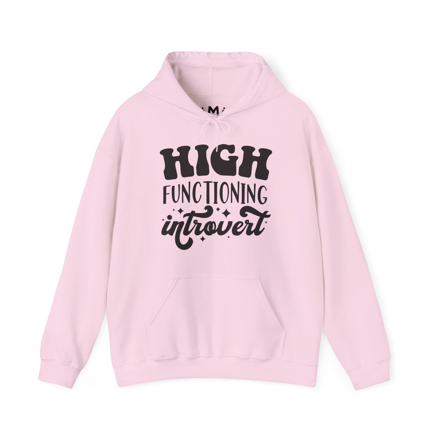 High Functioning Introvert