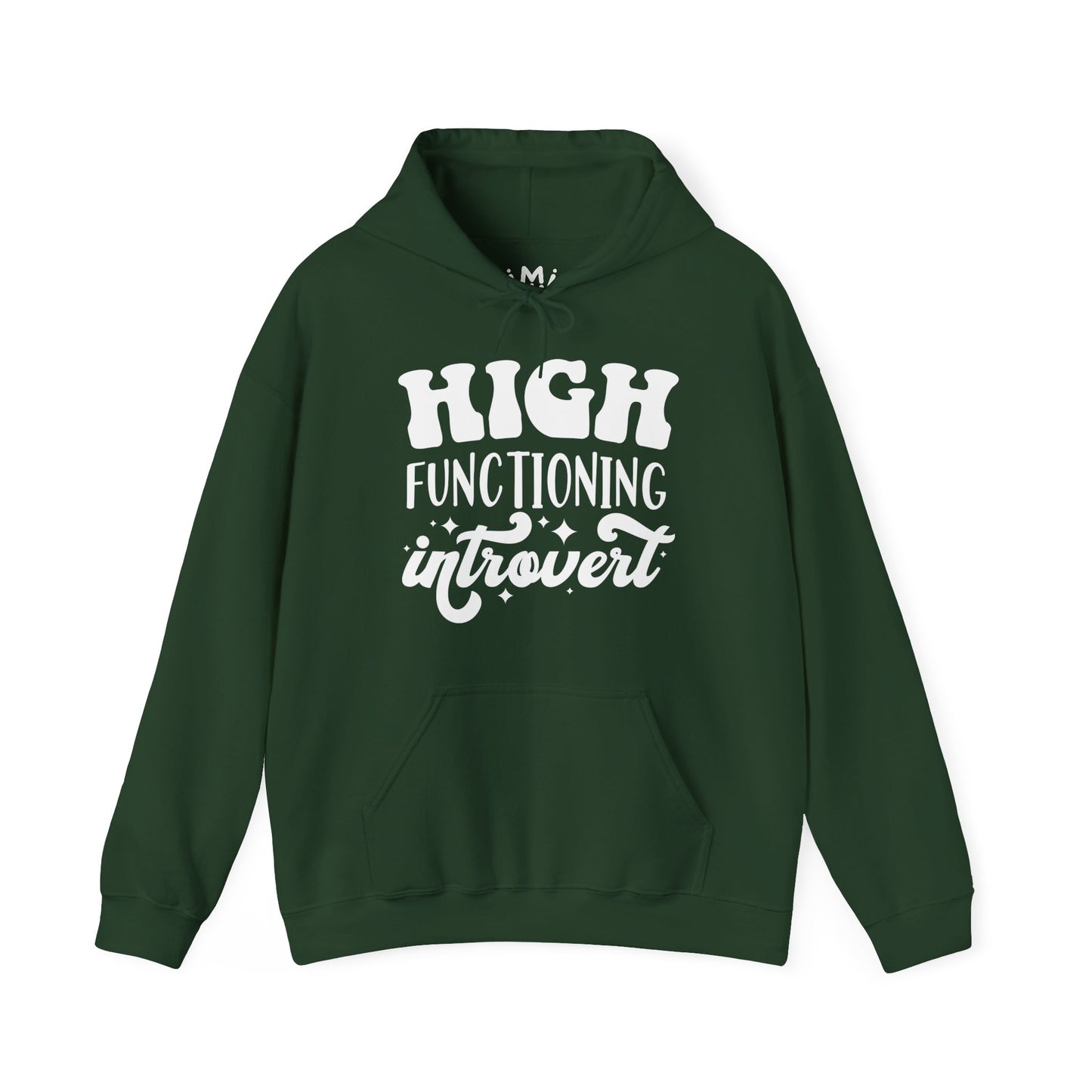 High Functioning Introvert