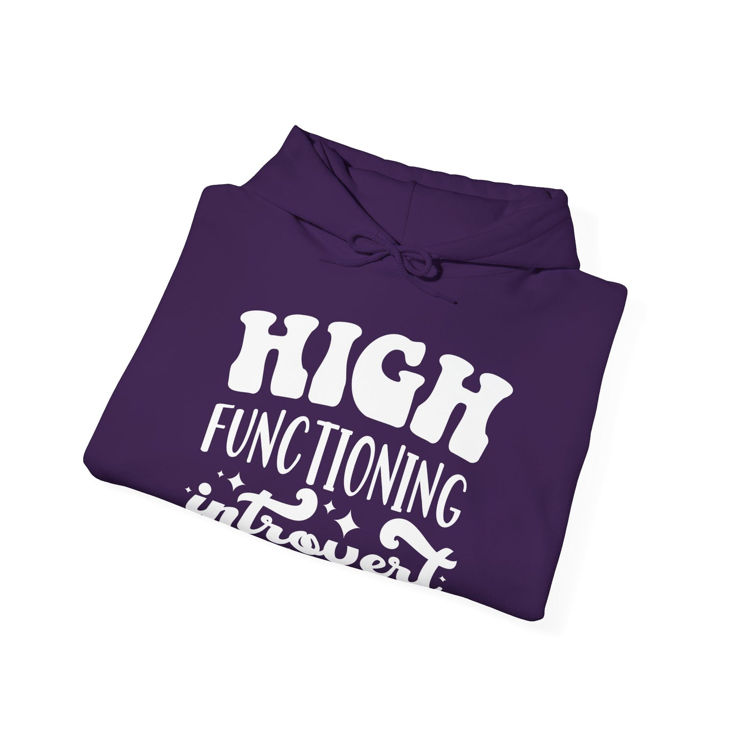 High Functioning Introvert