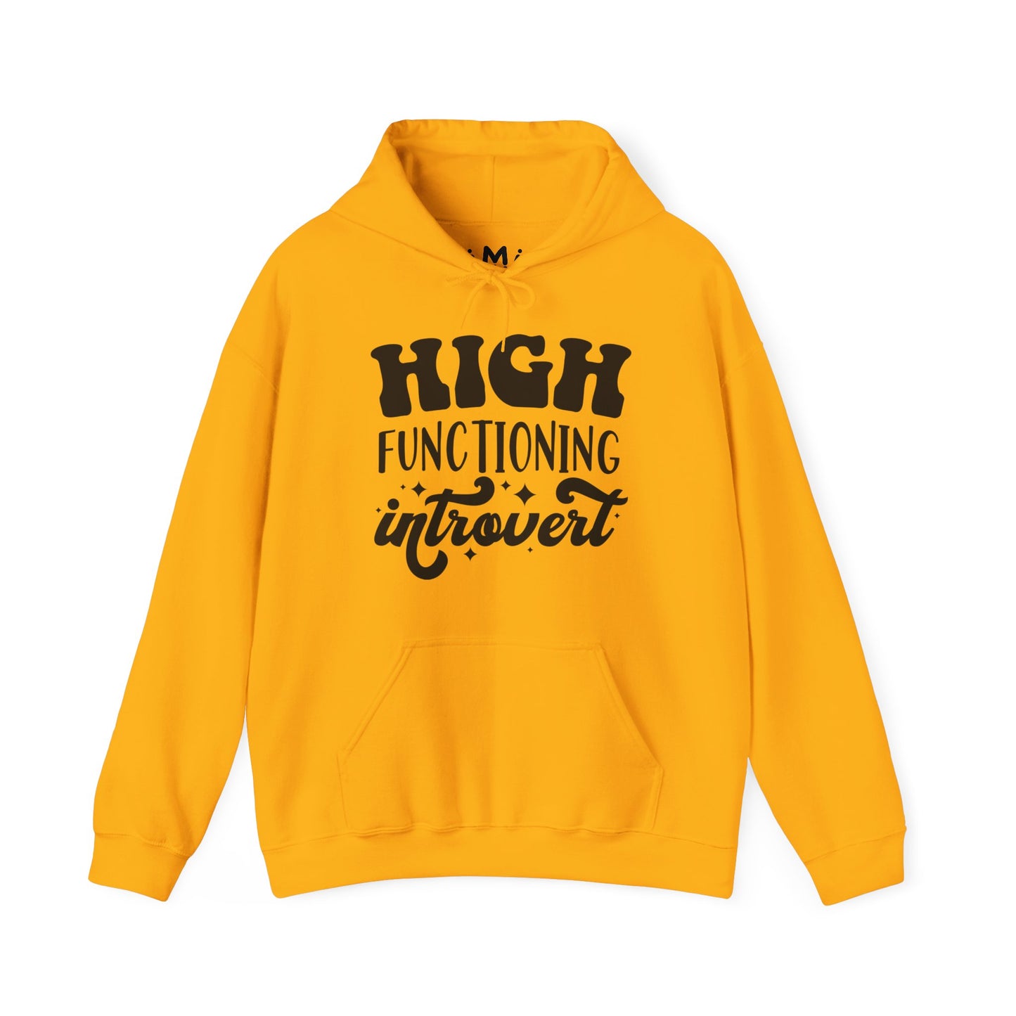 High Functioning Introvert