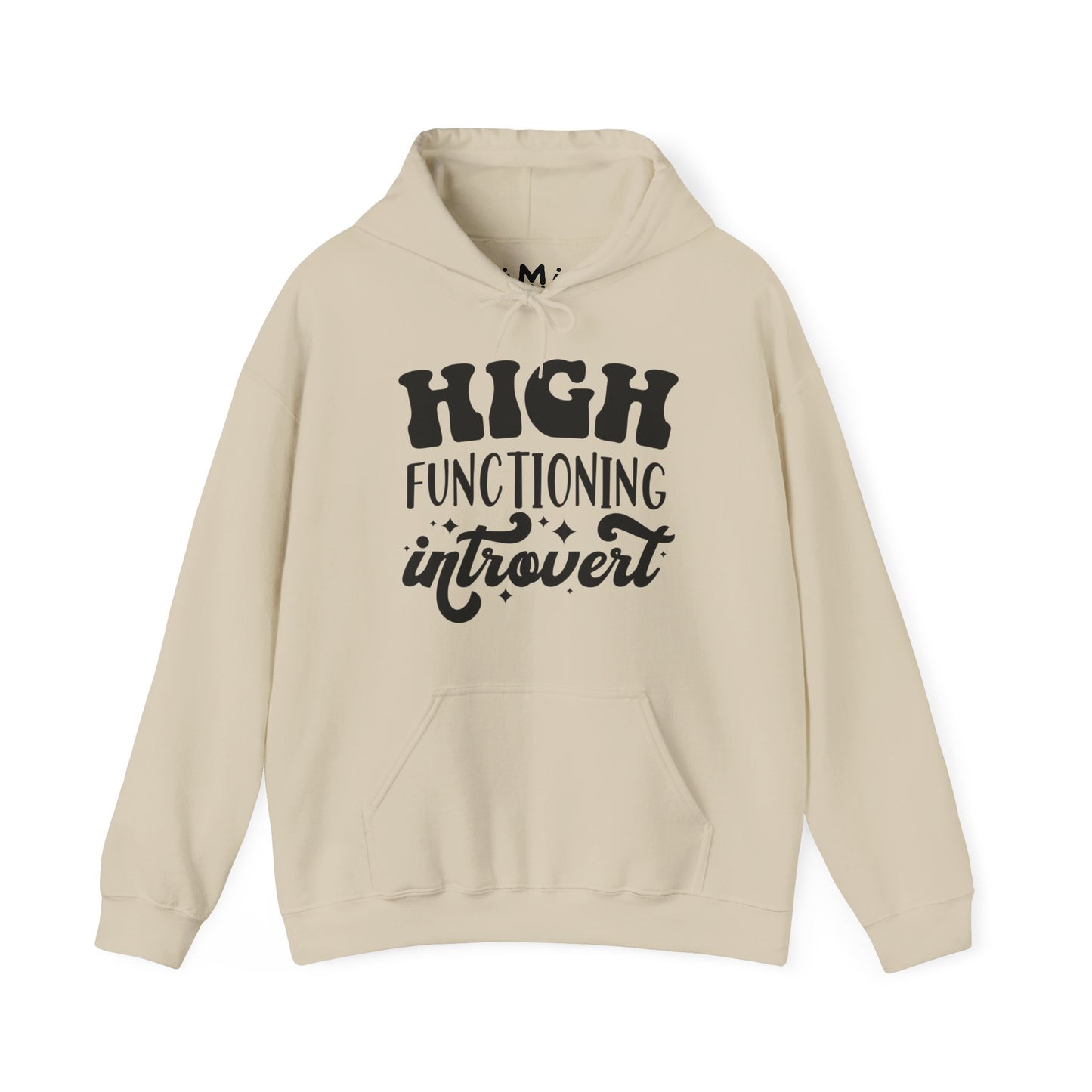 High Functioning Introvert
