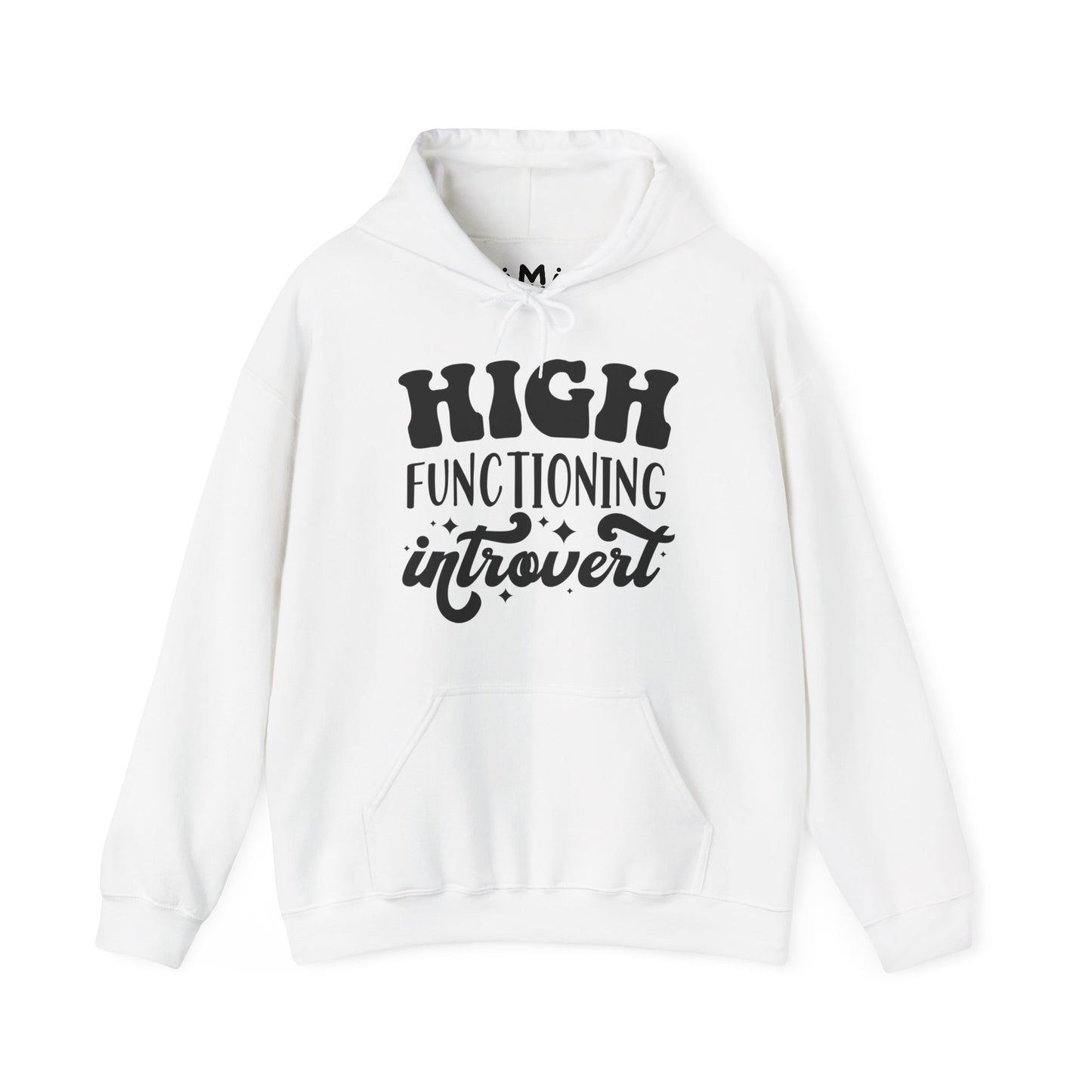 High Functioning Introvert