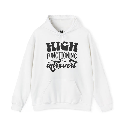 High Functioning Introvert
