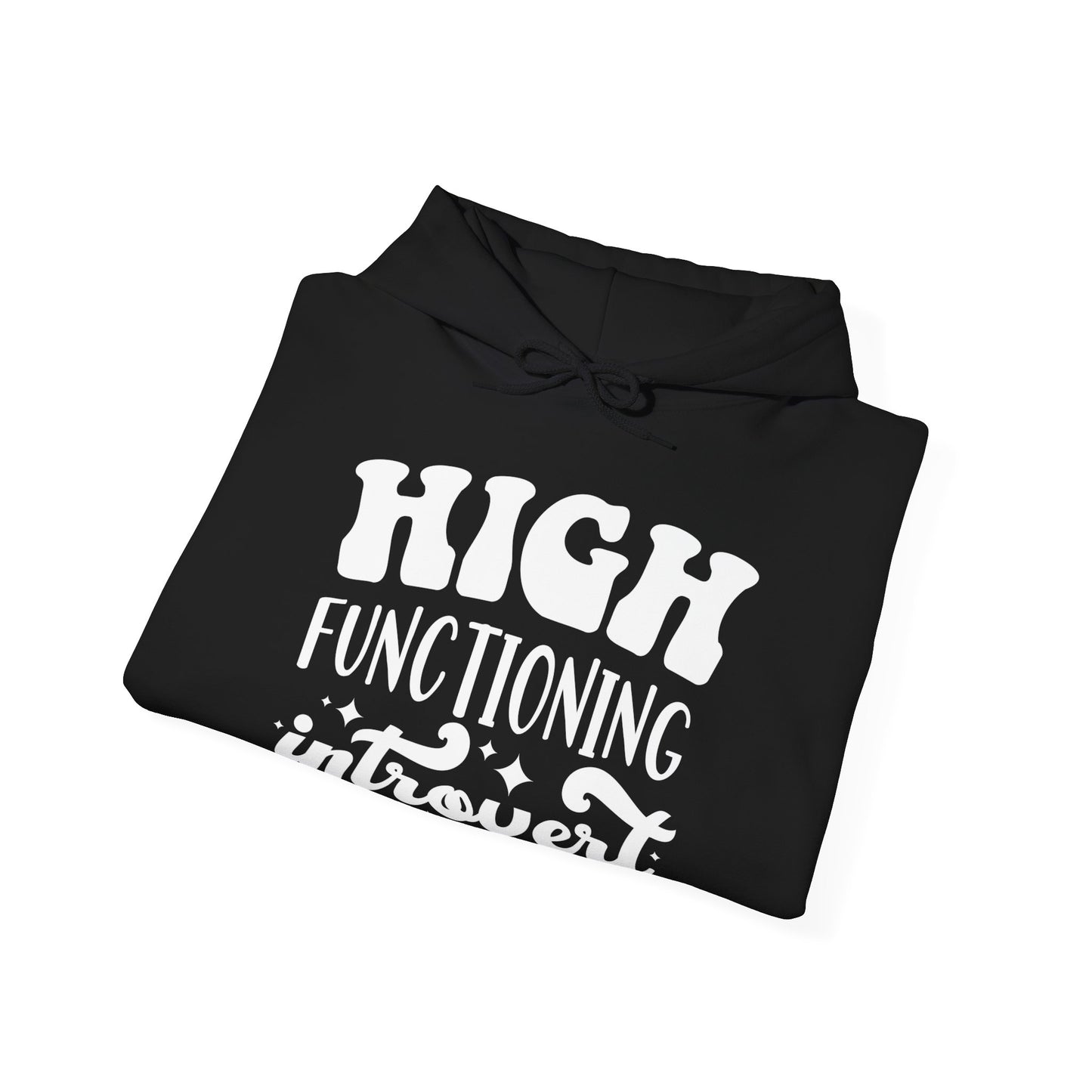 High Functioning Introvert