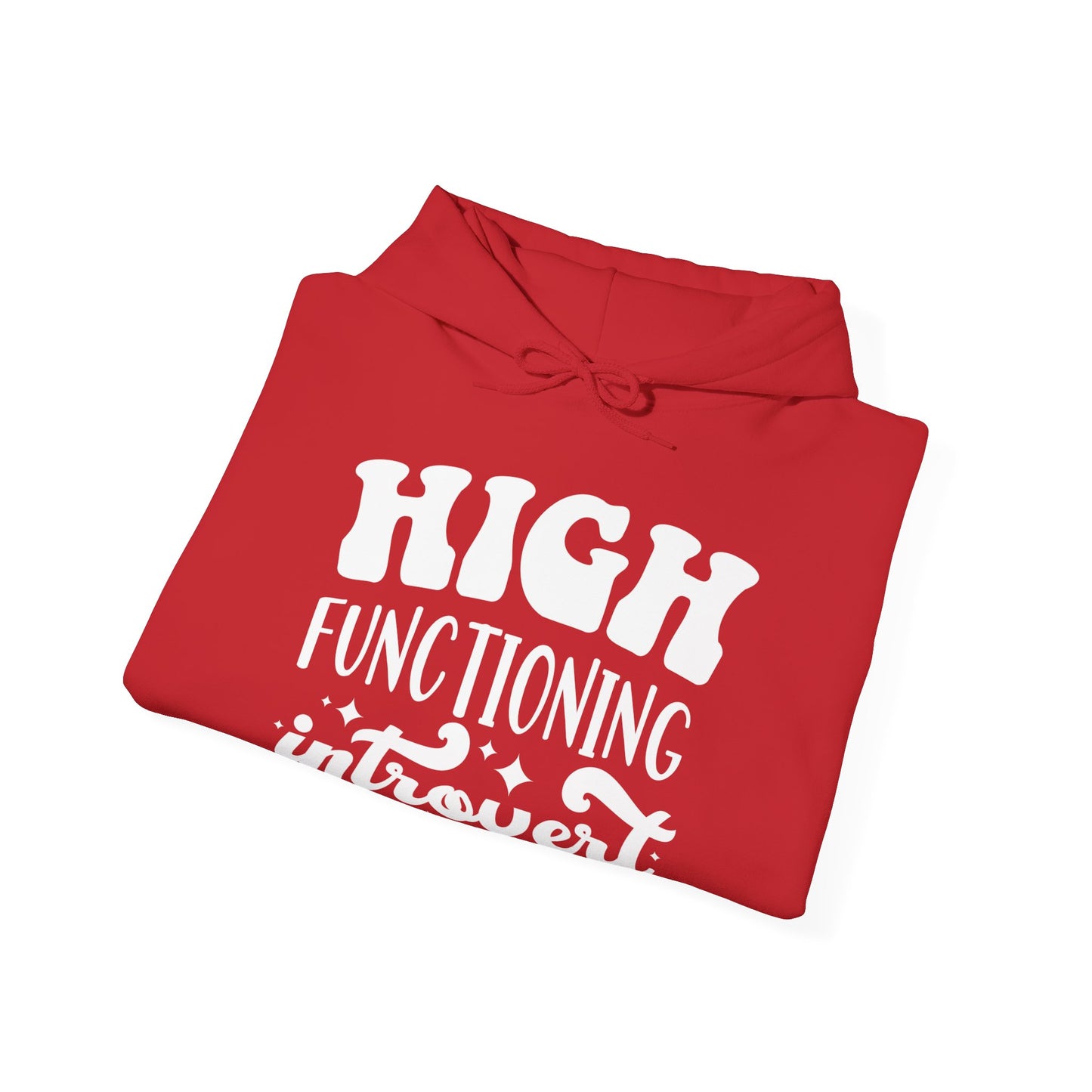 High Functioning Introvert