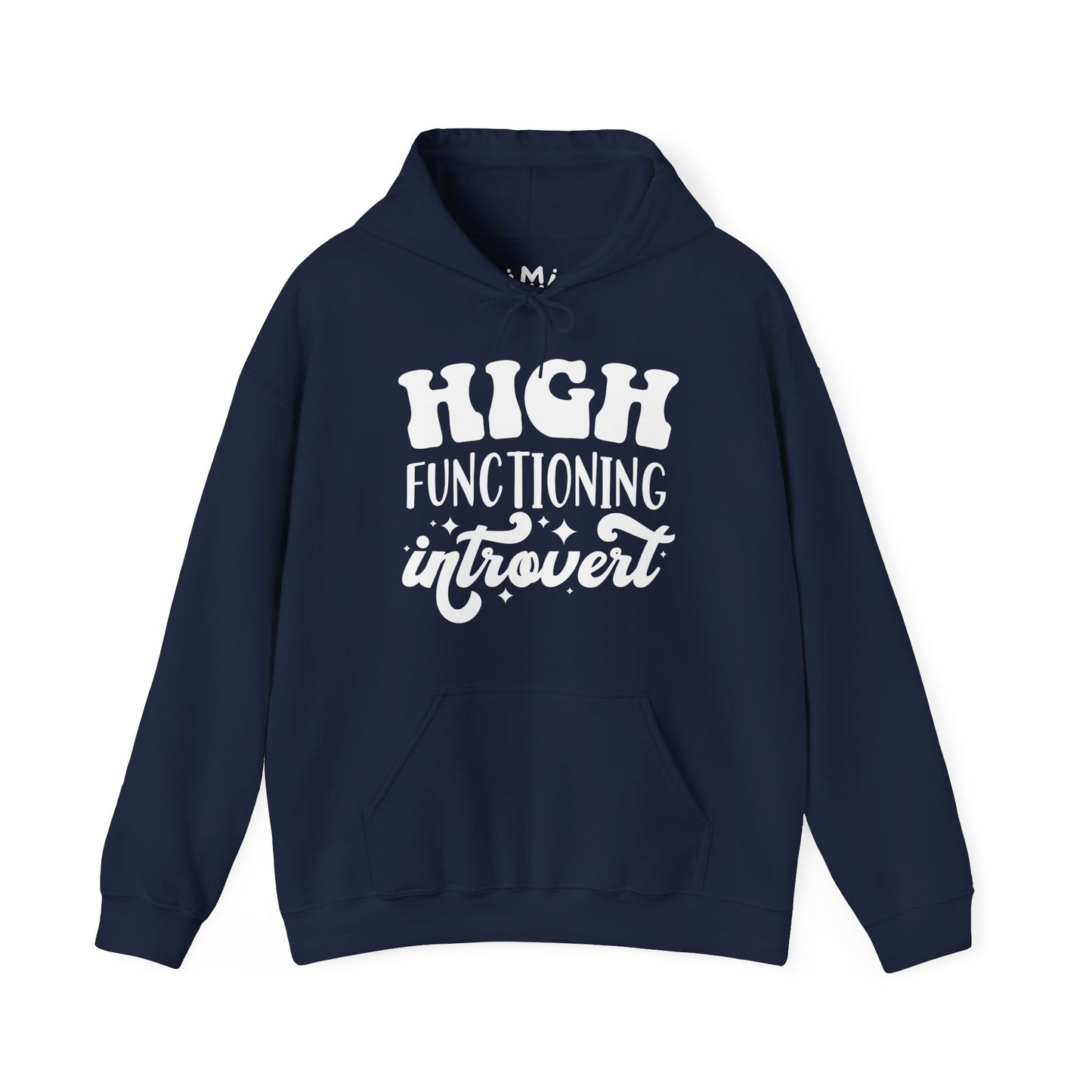 High Functioning Introvert