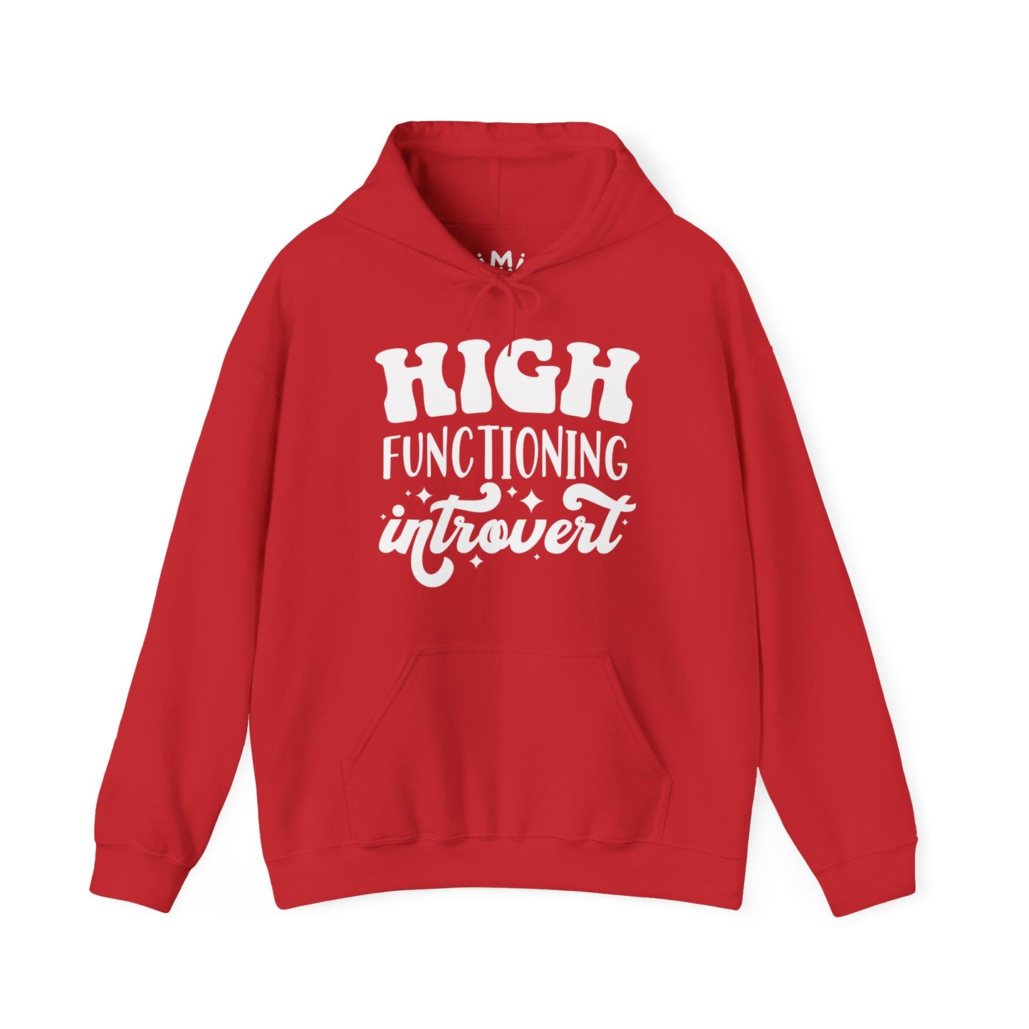 High Functioning Introvert