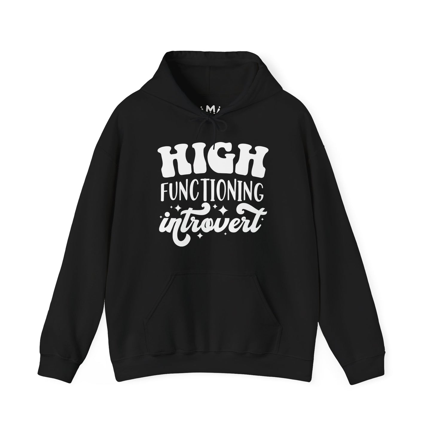 High Functioning Introvert