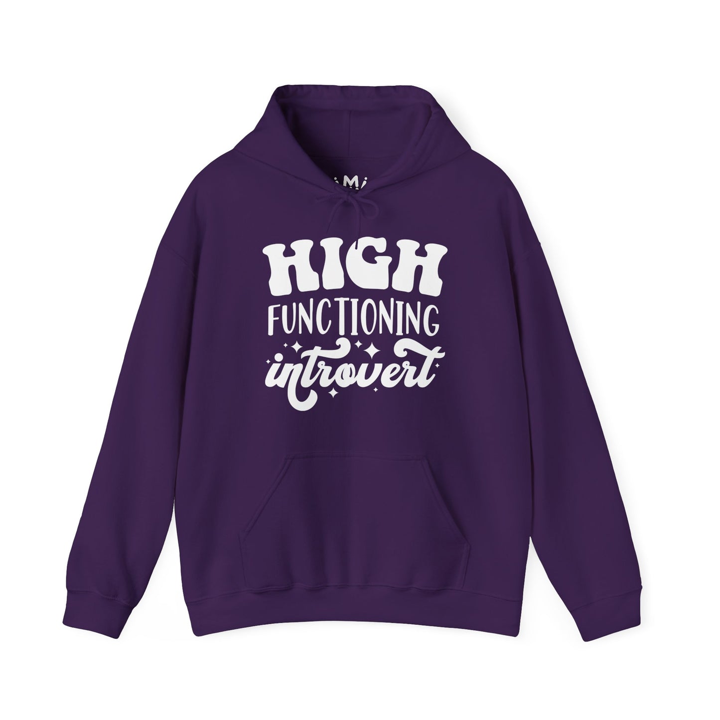 High Functioning Introvert