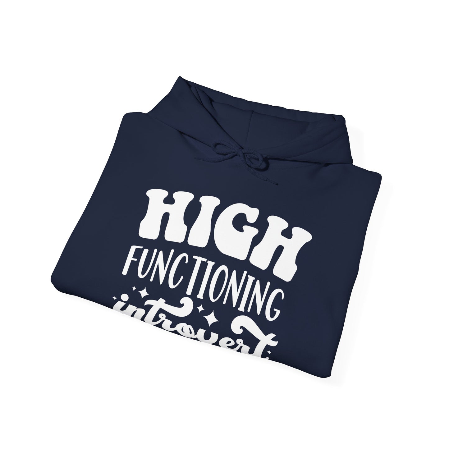 High Functioning Introvert