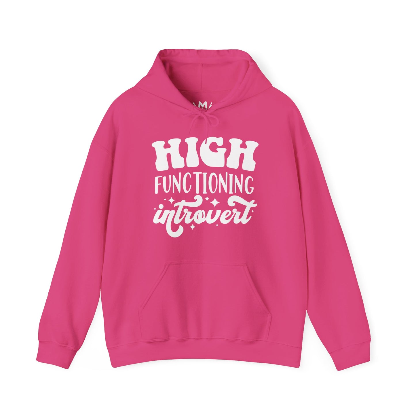 High Functioning Introvert